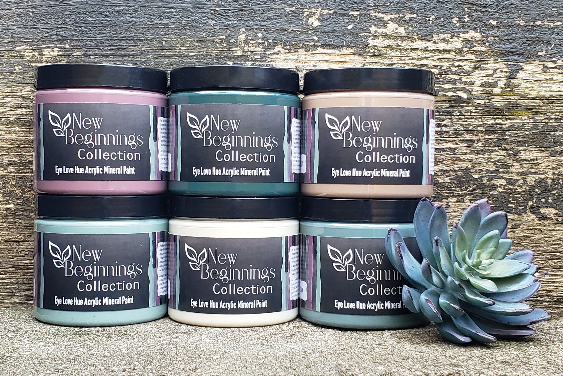 Eucalyptus- New Beginnings Collection – Eye Love Hue Paint & Products